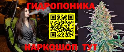 a pvp Ленинск-Кузнецкий