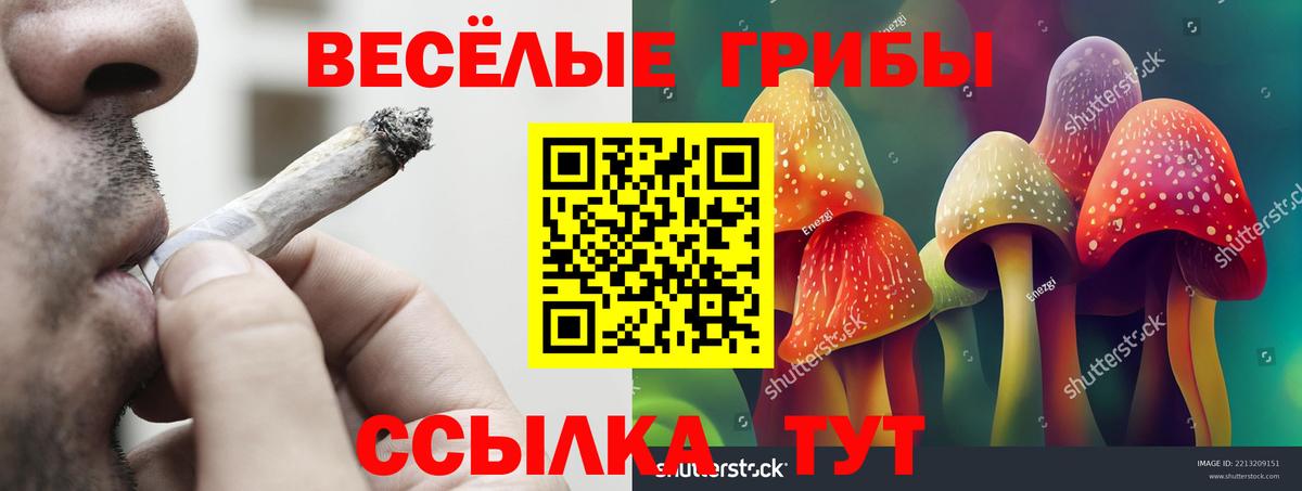 Псилоцибиновые грибы Magic Shrooms  Галлюциногенные грибы MAGIC MUSHROOMS  закладка  Вход с VPN  Павловский Посад 