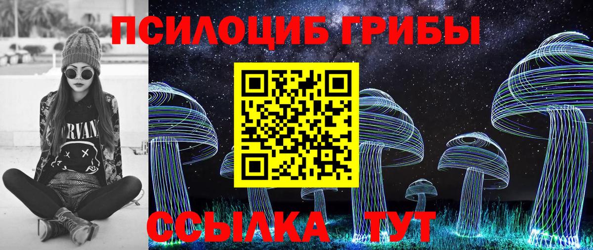 Псилоцибиновые грибы Magic Shrooms Павловский Посад